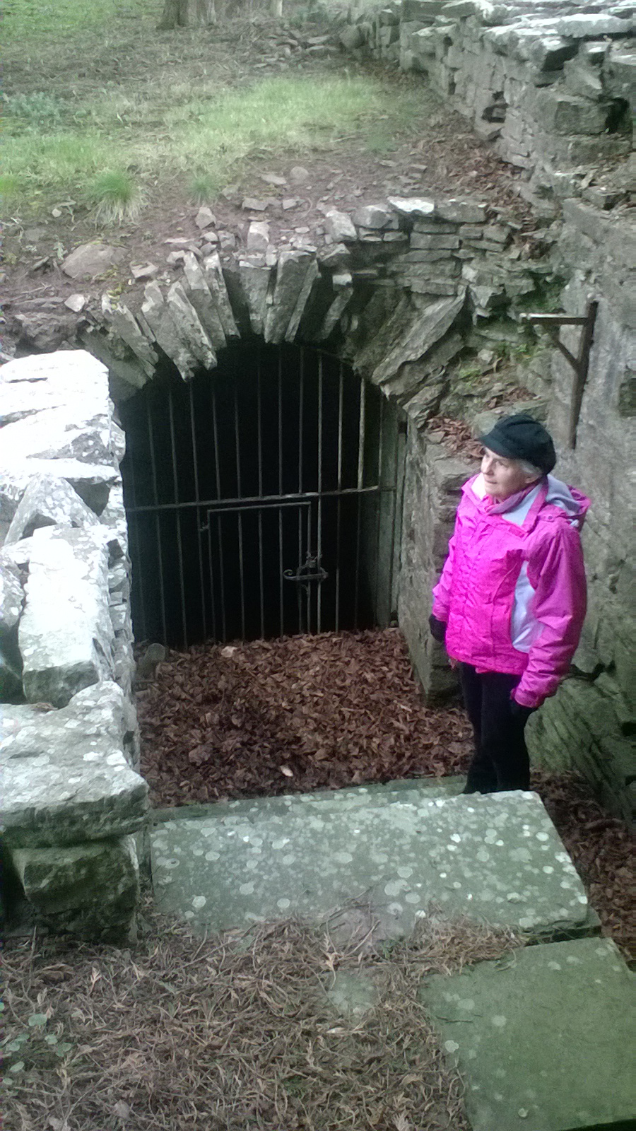 Click for the gallery page to add comments and vote (PID:185629) Bishop Gower's Well