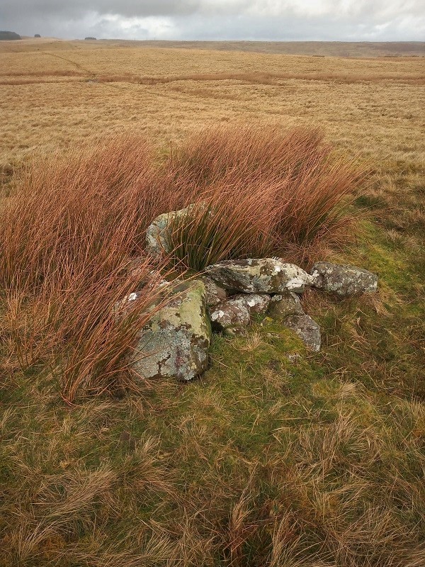 Blaen Llwyn Ddu