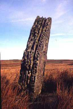 Carreg Waen Llech Standing Stone: (Powys SO 164 175)

High on Llangynidir mountain, Carreg Waen Llech is an attractive standing stone sited in an area commanding impressive views of the Black Mountains.  The stone is over six feet in height and has attractive and unusual pitting on its east and west faces.
