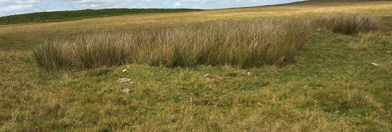 Cefn Clawdd CairnIII