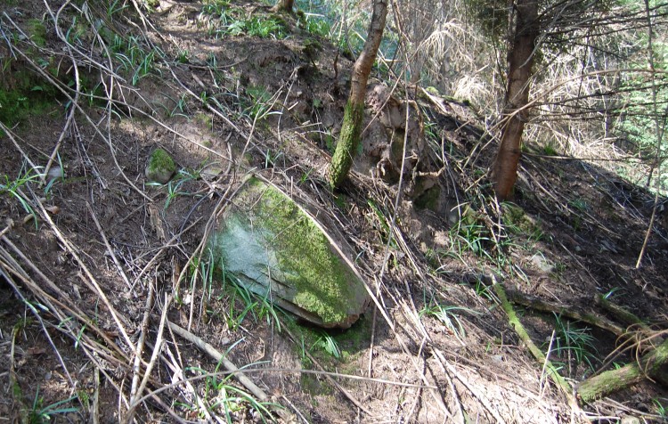 Click for the gallery page to add comments and vote (PID:28766) Coed Ynys Faen