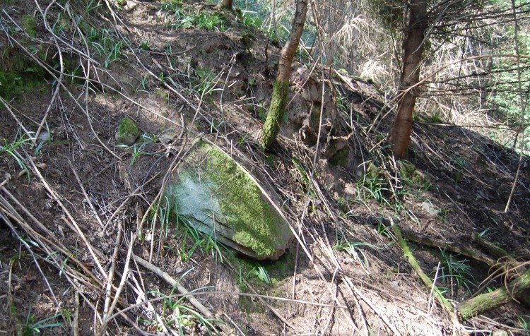 Coed Ynys-faen, Stone 2, with track above. 
After a very difficult clamber through the bracken and brambles on the steep hillside above the road, this stone was visible roughly in the position next to the track on the RCAHMW map for Stone 2.  It was obvious that constructing the track above it had caused so much material to be displaced that it was almost completely covered. 

I doubt whether i