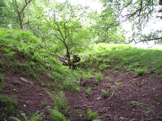 Click for the gallery page to add comments and vote (PID:67608) Coed y Caerau