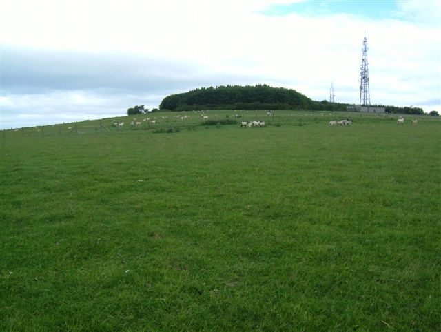 Beacon Ring Hillfort.