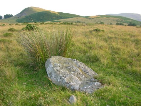 Court Stone Row