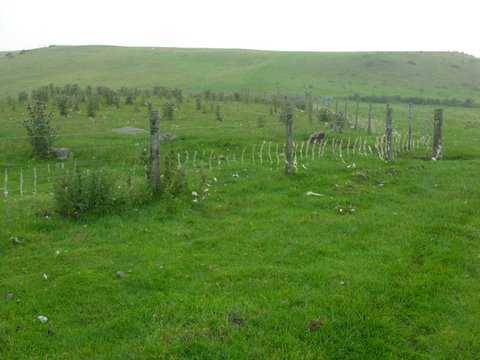 Gelli Hill Circle