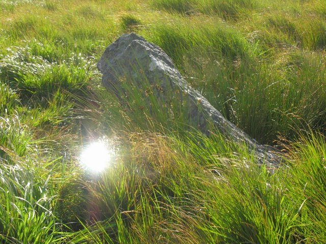 The fallen stones at Cefn Llanerchi. A good walk up from the reservoir car parking, but an engaging site for the enthusiast. Scan the horizon for prominent distant peaks, look at the proximity of the track... remote feeling, bleak and beautiful.

Worth visiting the Stone Row at Rhos y Gelynen from here, best approached from above - much less boggy!