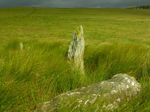 Rhos y Gelynen Stones