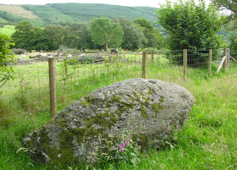 Came across this large rounded conglomerate glacial erratic whilst trying to find the route of the through-foothpath; near a ford to the SW of the intended stone.