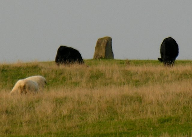 Broomy Hill Centre