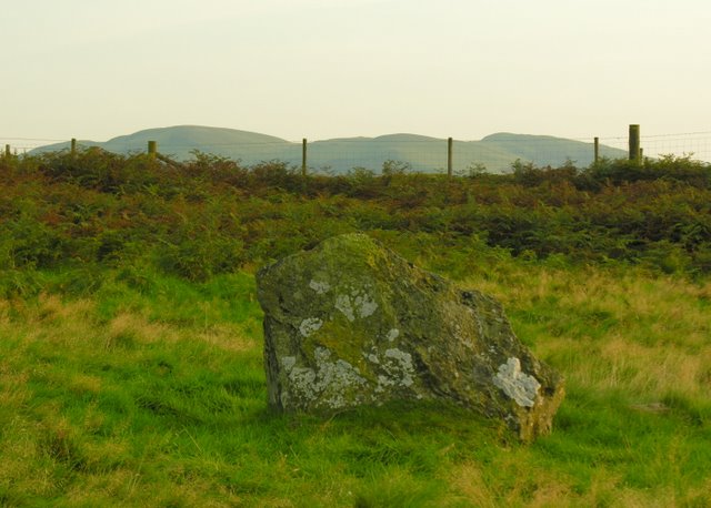 Broomy Hill South