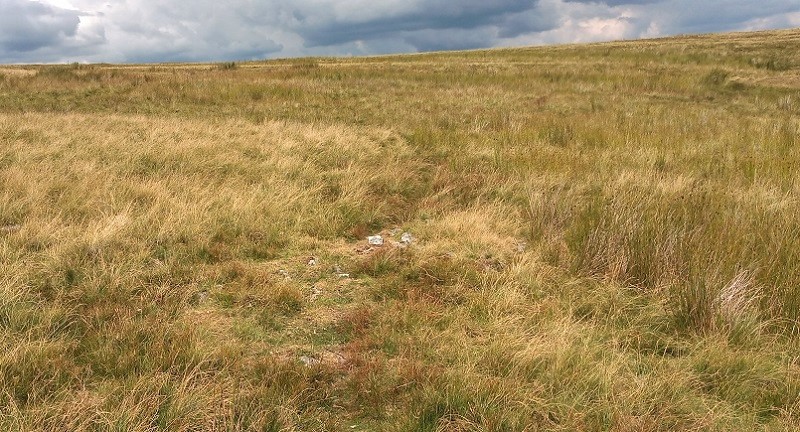 Click for the gallery page to add comments and vote (PID:229975) Ffynnon Mary Cairn