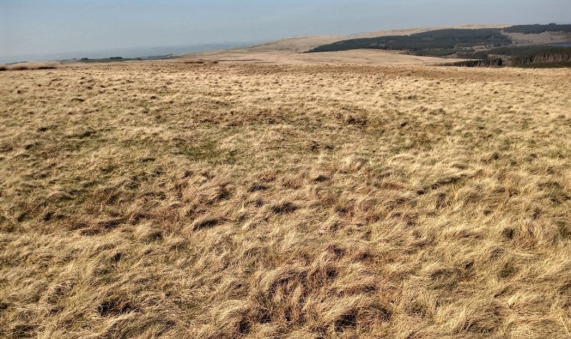 Click for the gallery page to add comments and vote (PID:225327) Foel Derw cairn