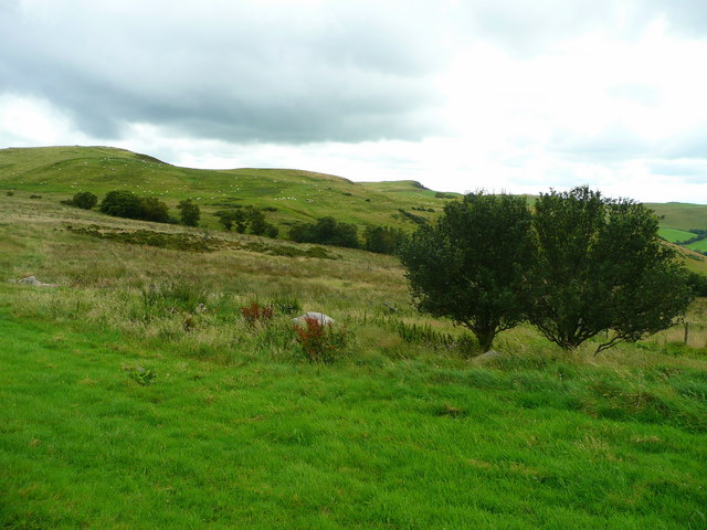 Click for the gallery page to add comments and vote (PID:67337) Gaer Fach (Merthyr Cynog)