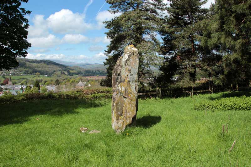 Click for the gallery page to add comments and vote (PID:89068) Great Oak Stone