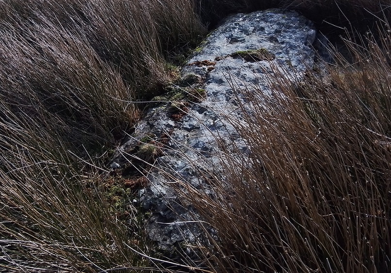 Hen Clawdd Stones, Powys | Megalithic Portal