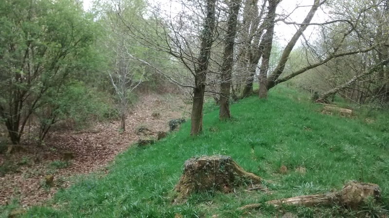 Click for the gallery page to add comments and vote (PID:131985) Llangenny Camp