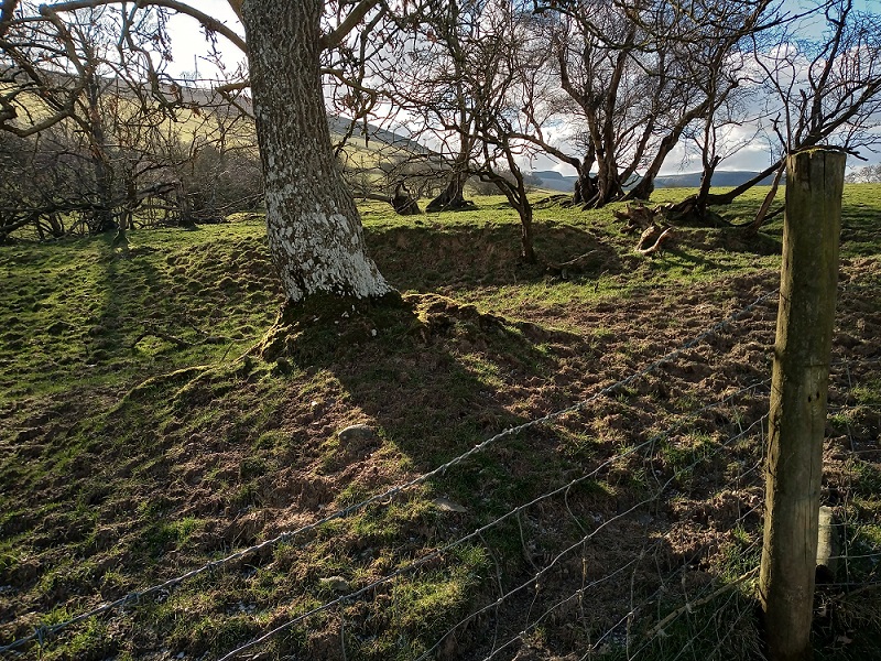 Castell Du Hill Fort