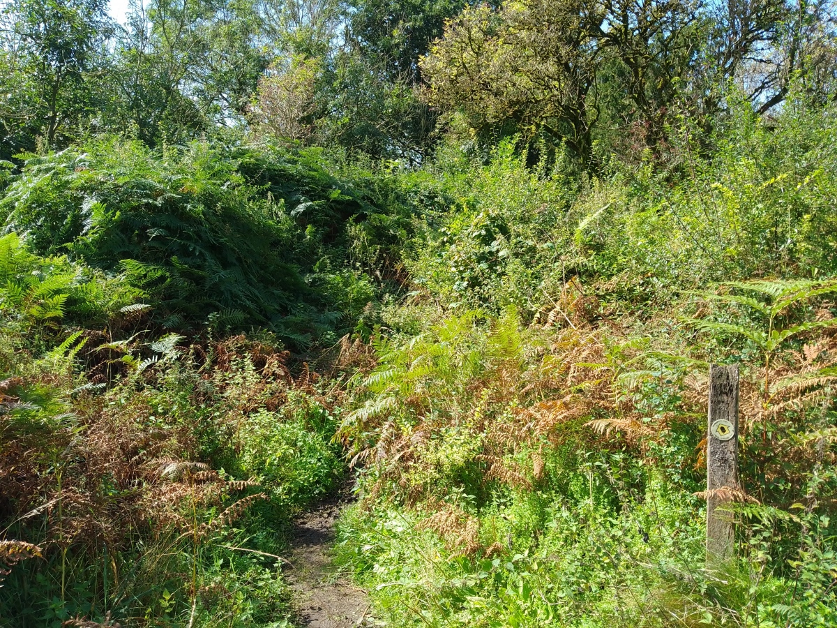 Llanymynech Hill
