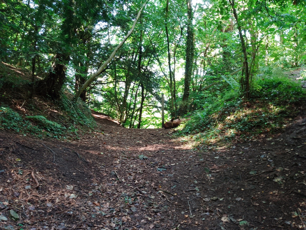 Llanymynech Hill