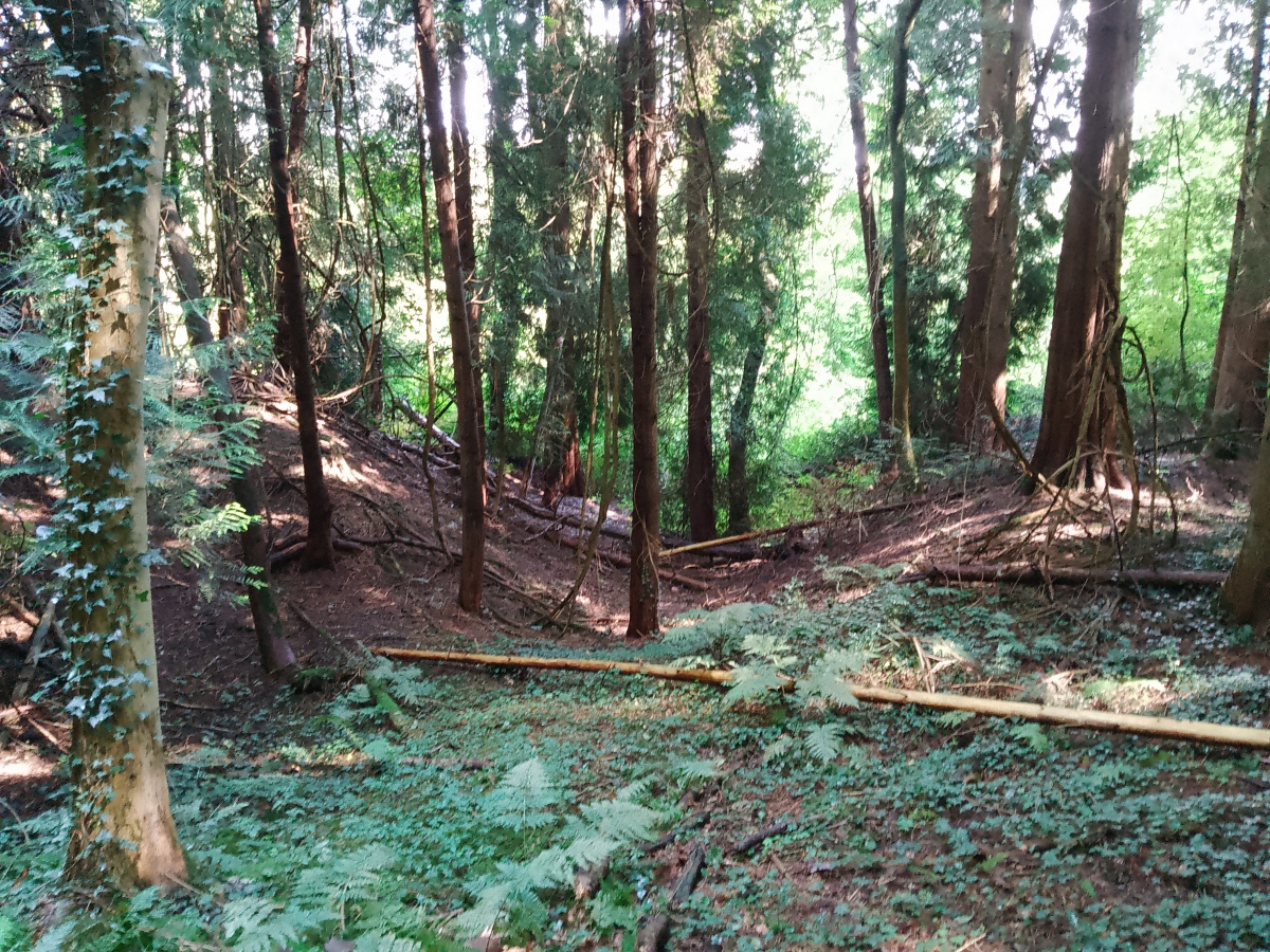Llanymynech Hill