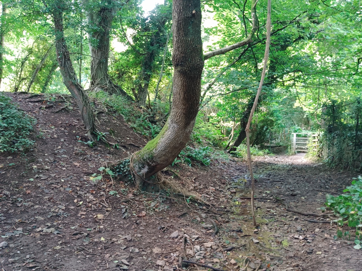 Llanymynech Hill