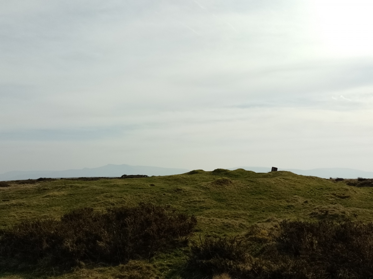 Click for the gallery page to add comments and vote (PID:286705) Gwar-y-Felin
