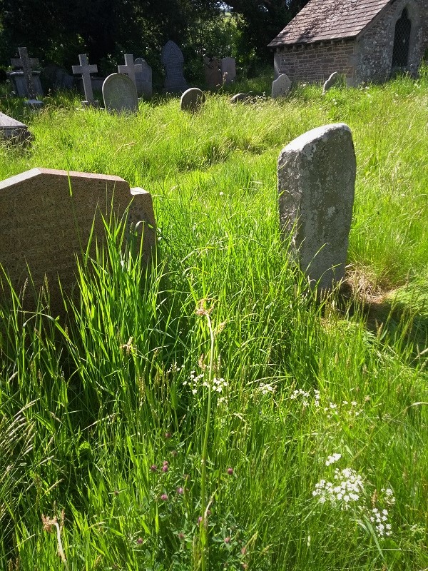 Click for the gallery page to add comments and vote (PID:197949) St Cattwg's Church (Llanspyddid)
