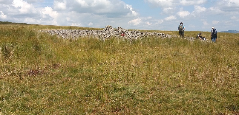 Click for the gallery page to add comments and vote (PID:229963) Llethr Waun-lwyd Cairns
