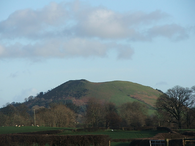 Llwyn Bryn Dinas