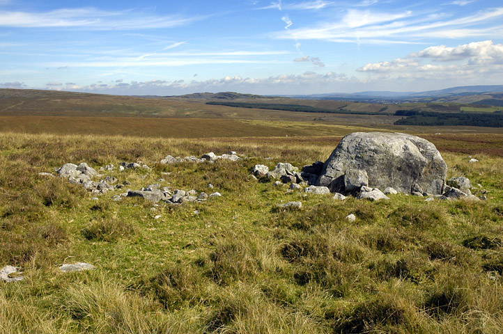 Click for the gallery page to add comments and vote (PID:50295) Llwyncwmstabl