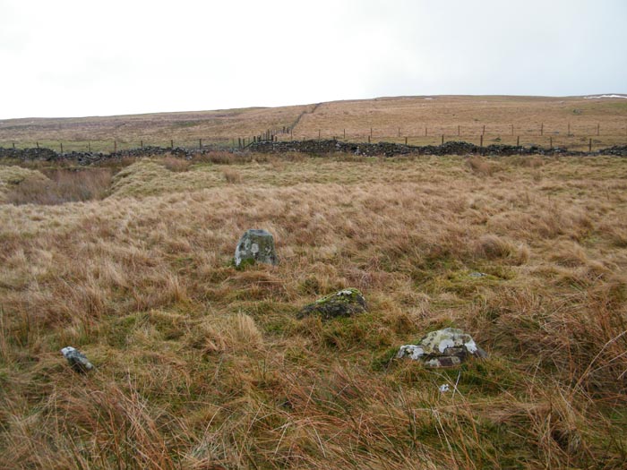 Click for the gallery page to add comments and vote (PID:54236) Maen Leuci stone setting