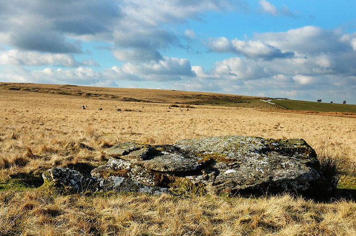 Click for the gallery page to add comments and vote (PID:12368) Trecastle Mountain ENE