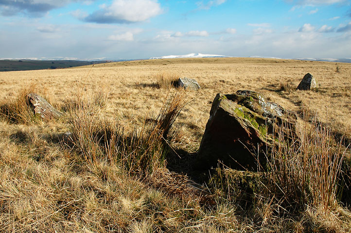 Click for the gallery page to add comments and vote (PID:12369) Trecastle Mountain WSW