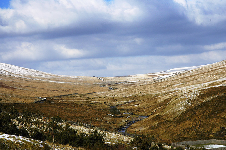 Click for the gallery page to add comments and vote (PID:19213) Maen Llia
