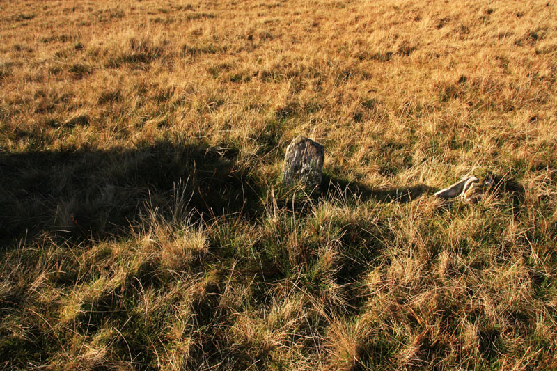 A better view of the shadows of Maen Mawr and it's much smaller companion. This is taken at local noon on November 7th 2011, a beautiful sunny day.
  This day, and again at the beginning of February, the shadow from Maen Mawr touches the taller of the two small stones, and the shadow from this stone in turn touches the final small stone.
   These are only times of the year that these two shadows