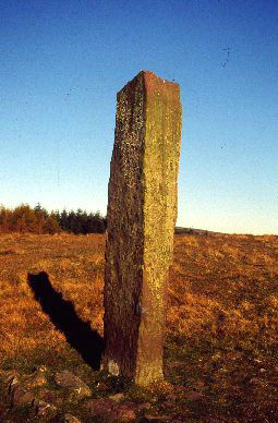 Maen Madoc Inscribed Stone: (Powys, SN 918 157)

This imposing inscribed stone, almost 2.7 metres in height, stands high on the moors alongside the Roman road, Sarn Helen.  The Latin inscription, 