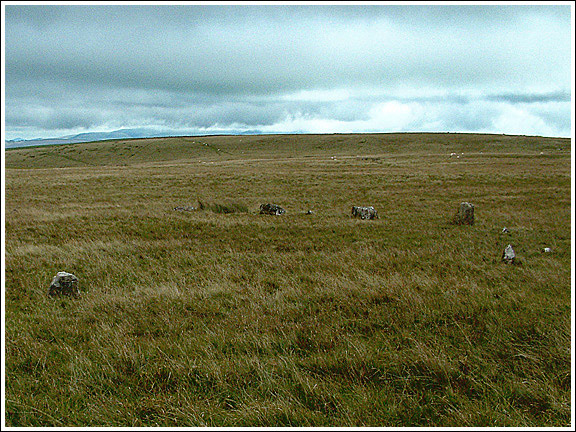 Trecastle Mountain ENE