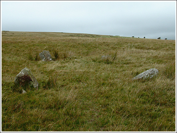 Trecastle Mountain WSW
