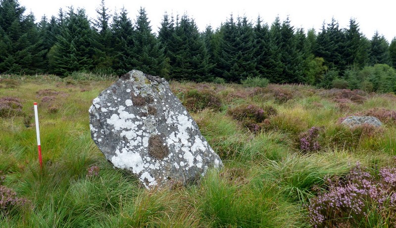 Click for the gallery page to add comments and vote (PID:191358) Mynydd Dyfnant