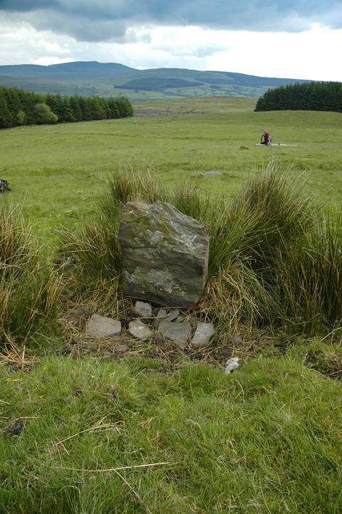 Click for the gallery page to add comments and vote (PID:89803) Nant Cnewr-Fawr Stone