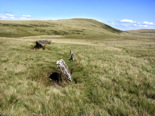 Click for the gallery page to add comments and vote (PID:8385) Nant Tarw ESE