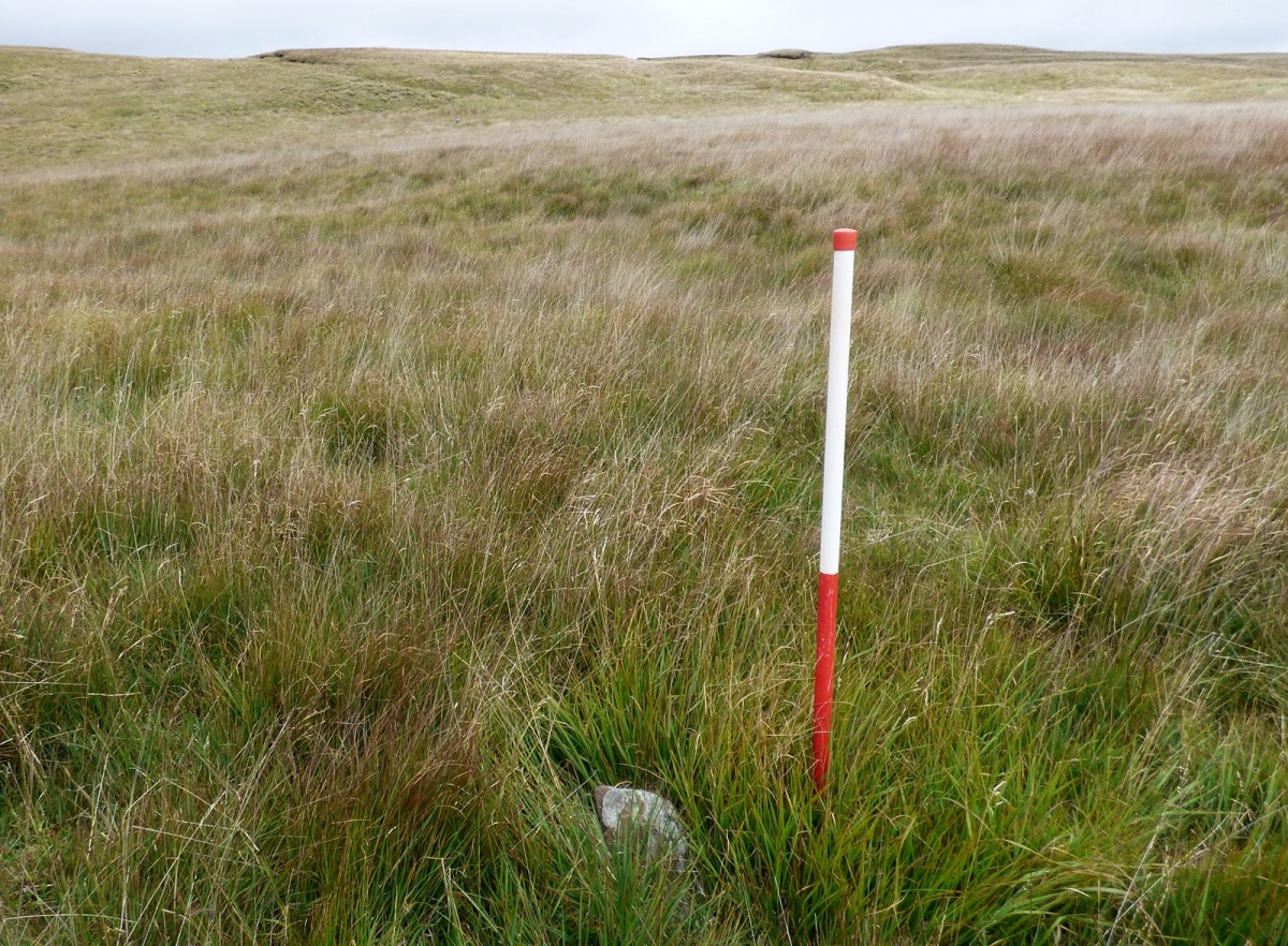 Nant Gwinau