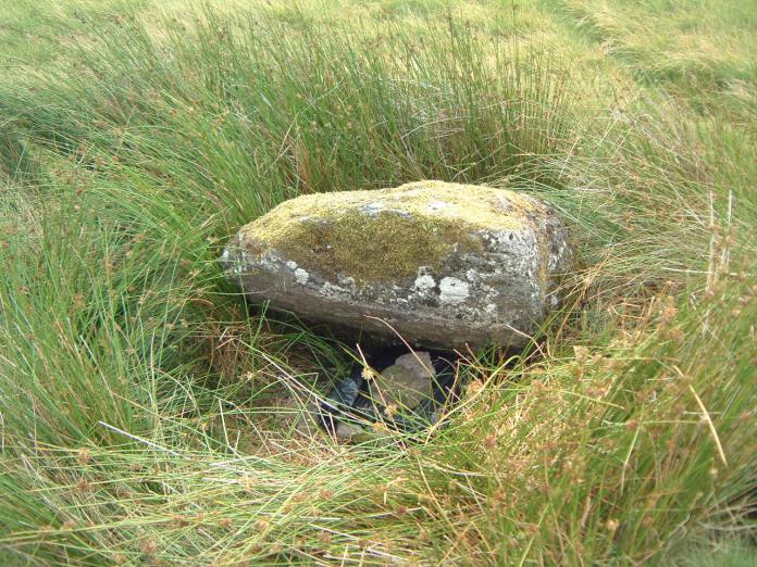 Click for the gallery page to add comments and vote (PID:7667) Nant Tarw ESE
