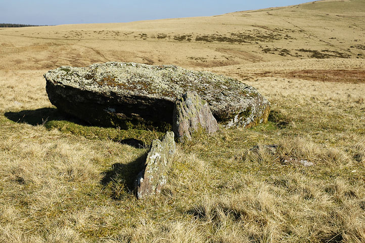 Click for the gallery page to add comments and vote (PID:12479) Nant Tarw Stone Row