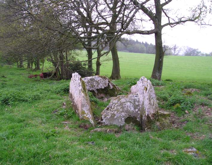 Pen-y-wyrlod, Chambered Tomb, Powys, SO224398

There is one smashing little slab sided chamber about 3 by 1.5 metres, with the stones protruding well up out of the remains of a stone built mound. 

This is the view from the east