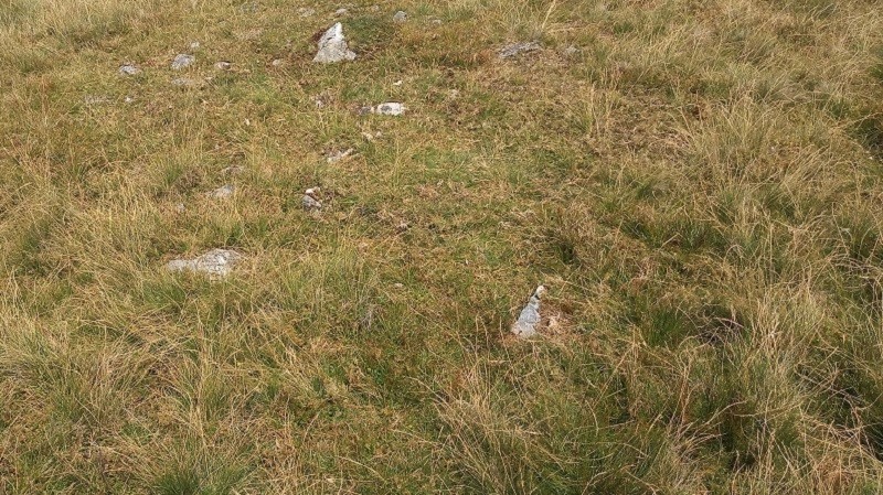 Click for the gallery page to add comments and vote (PID:229945) Pen y Ffynnon Cairn