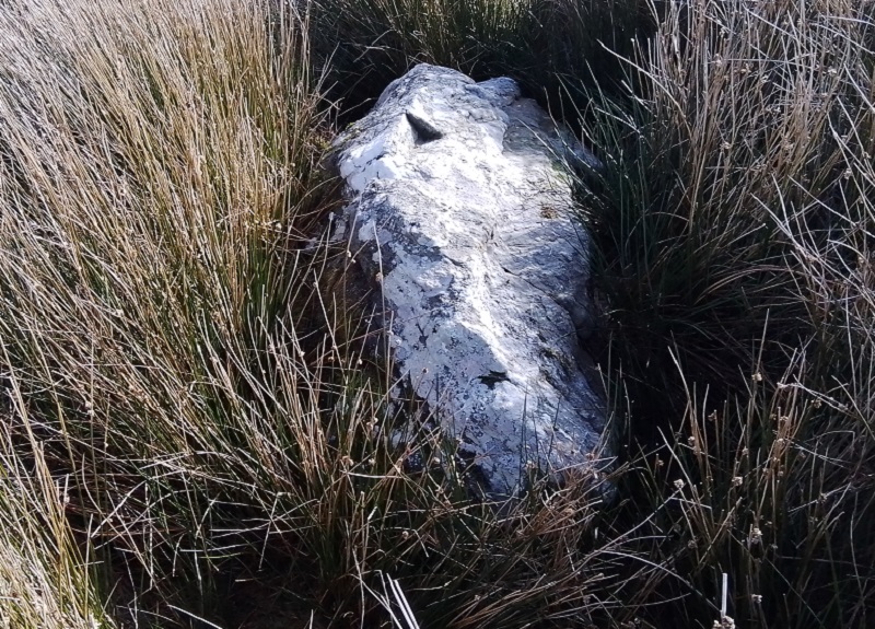 Hen Clawdd Stones, Powys | Megalithic Portal