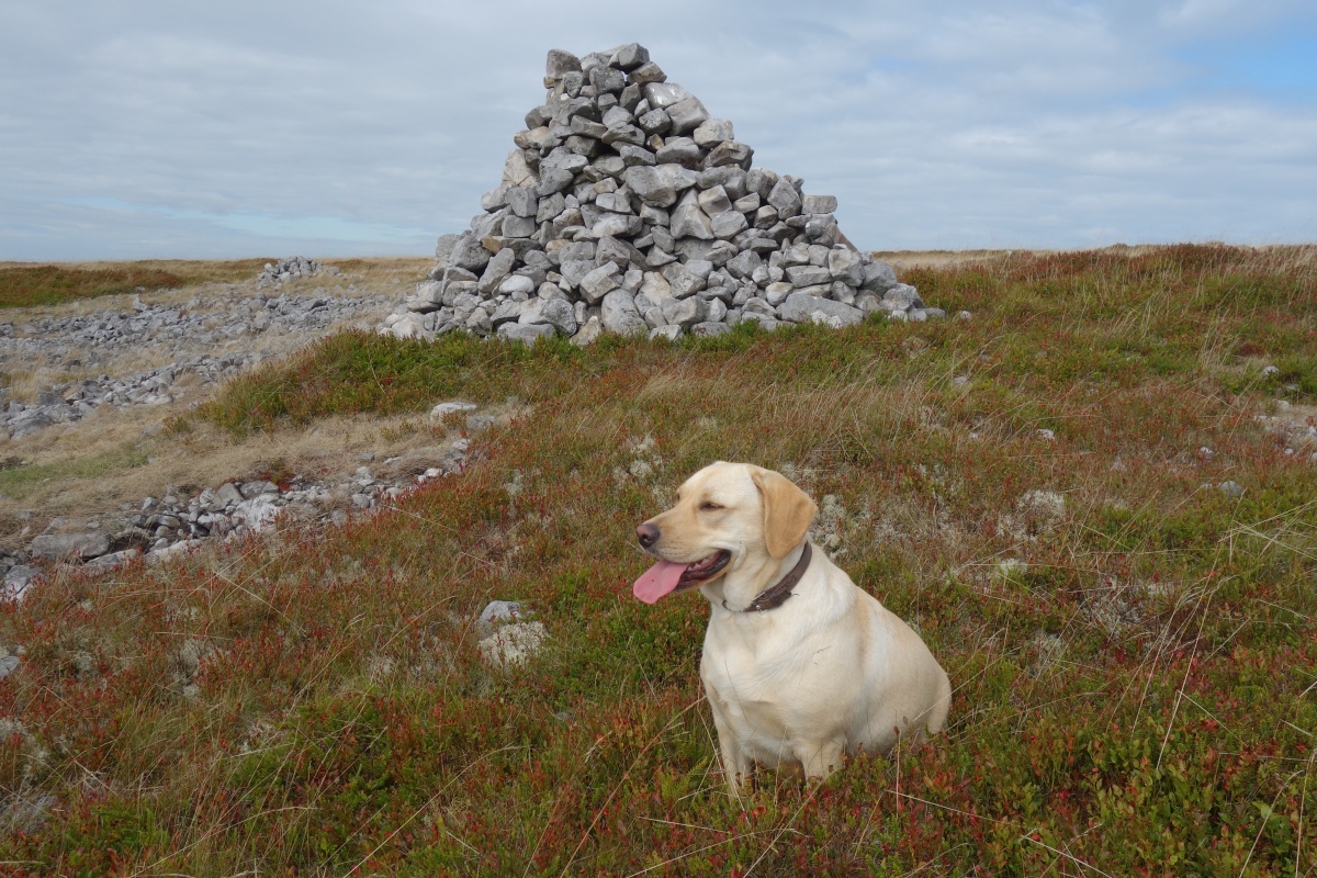 Mynydd Pen-Cyrn Stone Circle