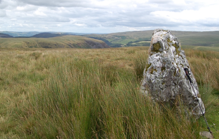 Click for the gallery page to add comments and vote (PID:41184) Waun Lydan